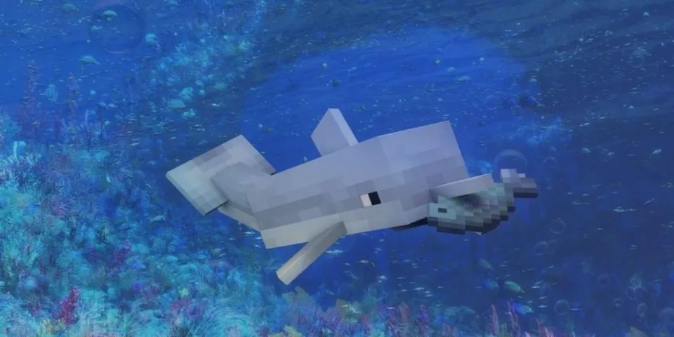 Dolphins in Minecraft