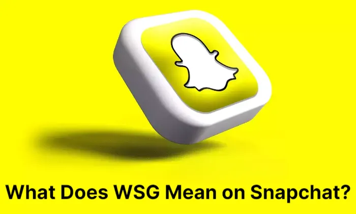 what-does-wsg-mean-on-snapchat