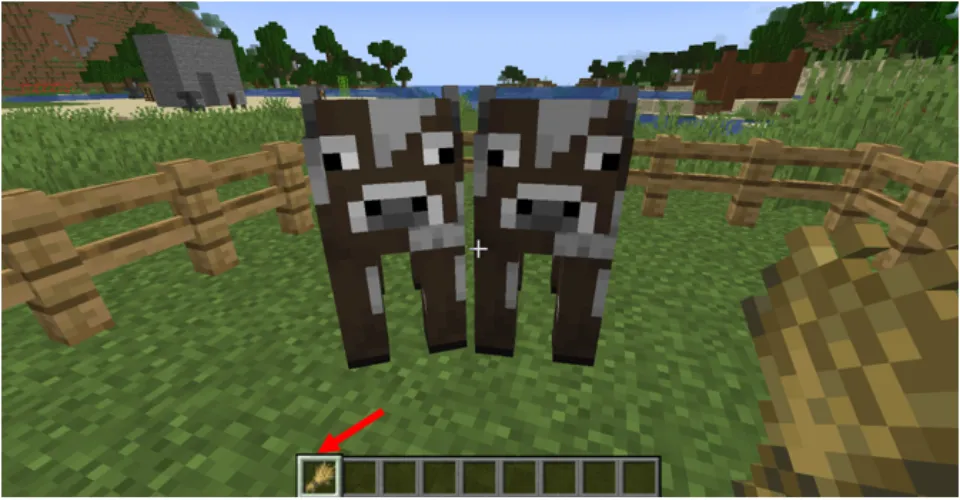 Cows Eat in Minecraft