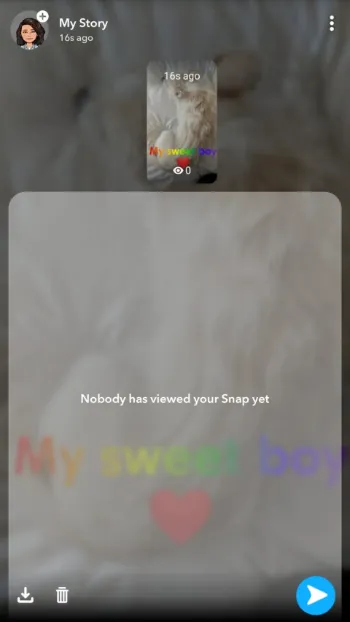 Delete Story from Snapchat