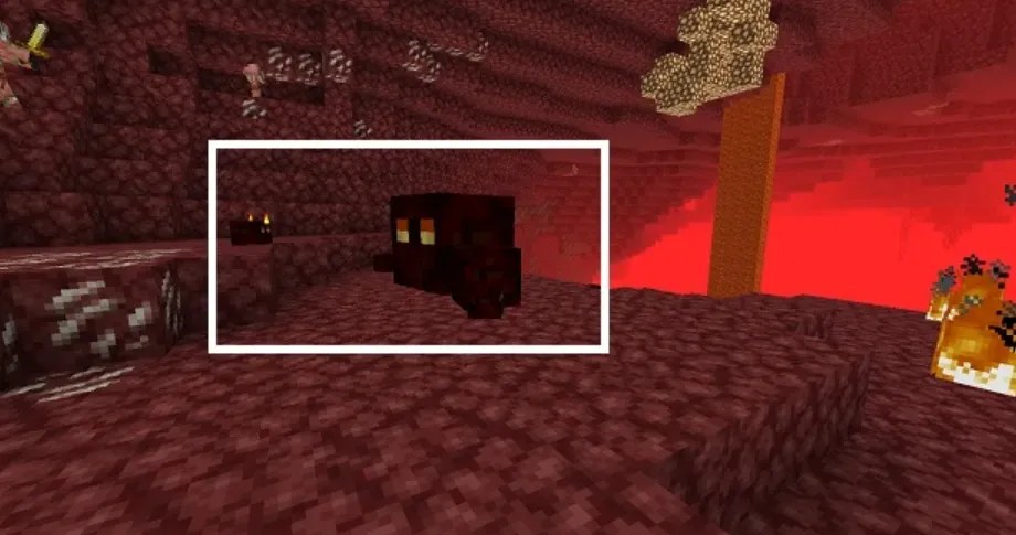 Small Magma Cubes