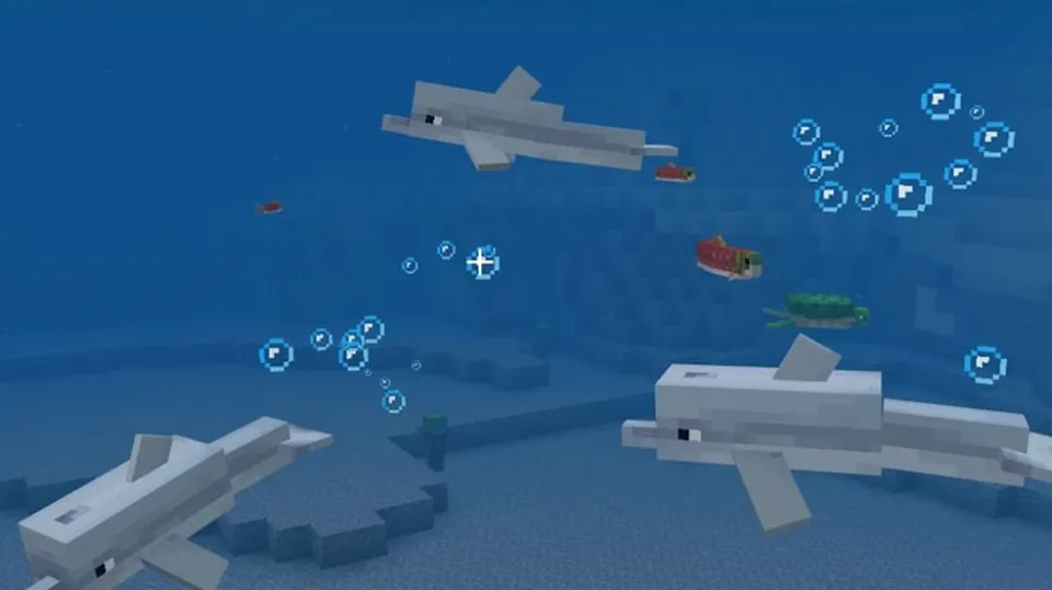 feed dolphins minecraft