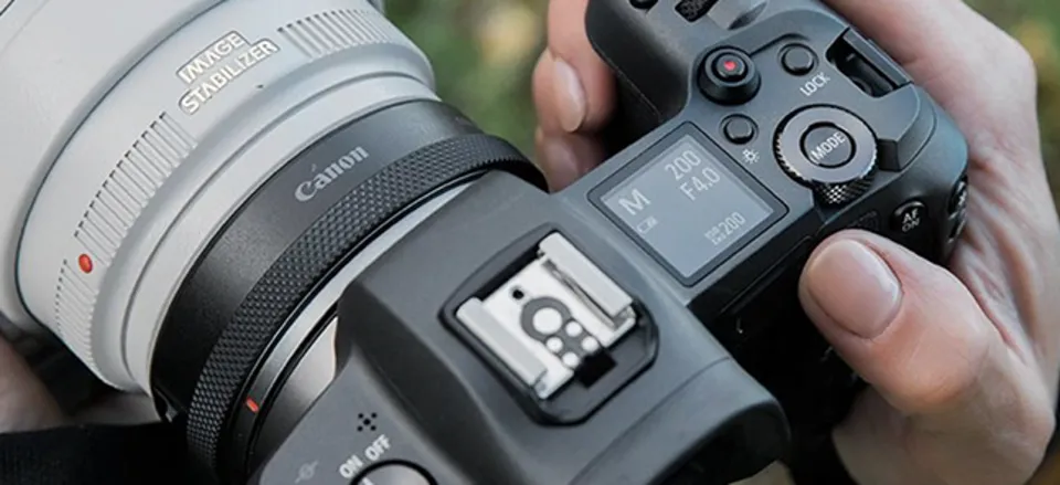 Do DSLR Lenses Work on Mirrorless Cameras