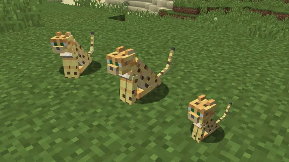 How to Tame An Ocelot in Minecraft