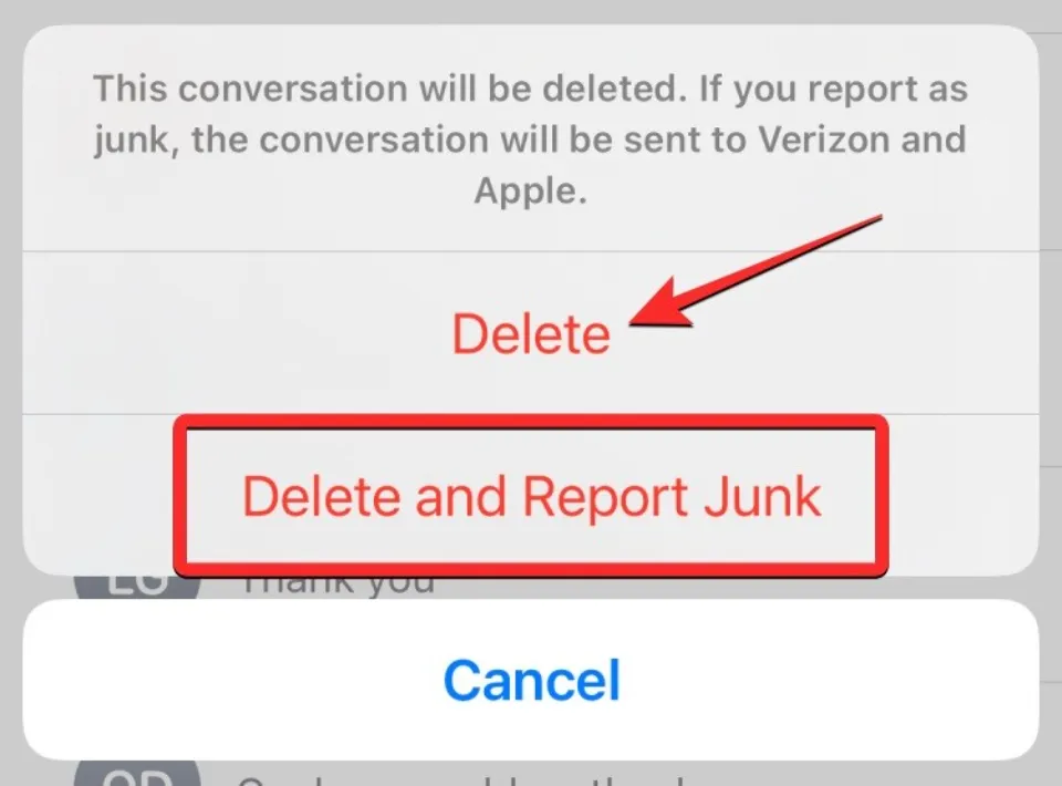 How to Turn Off Report Junk on iPhone