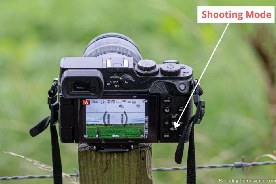 How to Use Mirrorless Camera