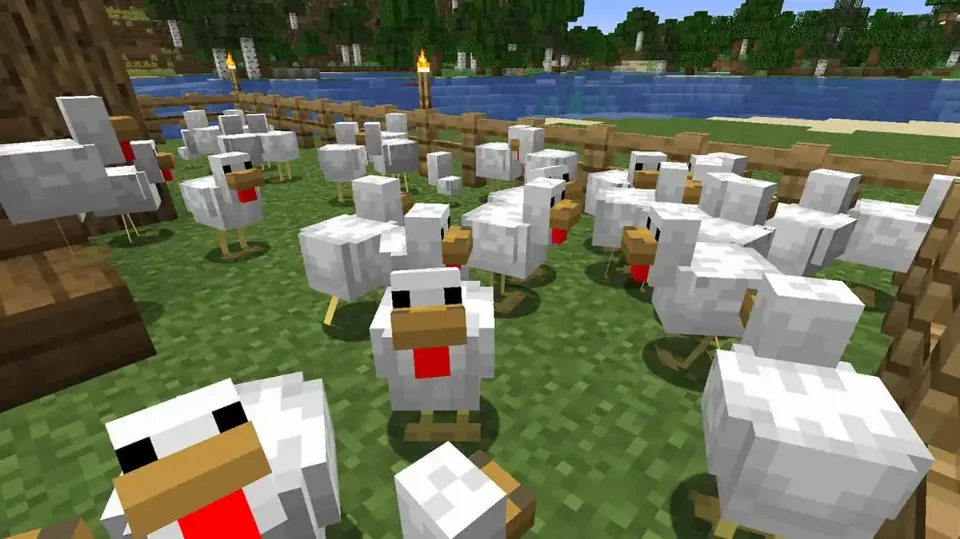 What Do Chickens Eat in Minecraft