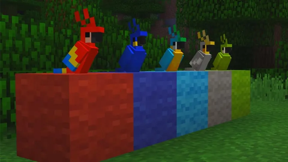 What Do Parrots Eat in Minecraft