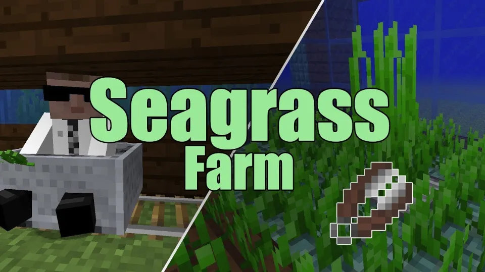 Where to Get Seagrass in Minecraft