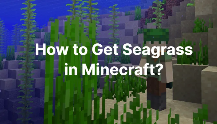 how-to-get-seagrass-in-minecraft