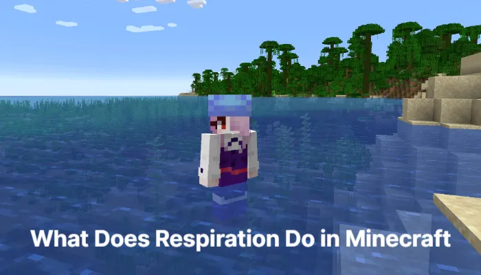 what-does-respiration-do-in-minecraft