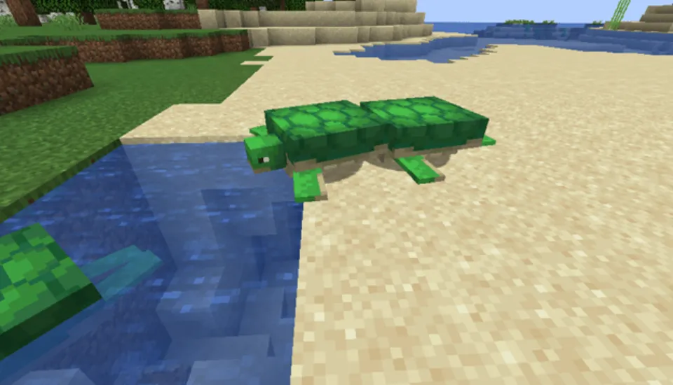 How to Get Scutes in Minecraft