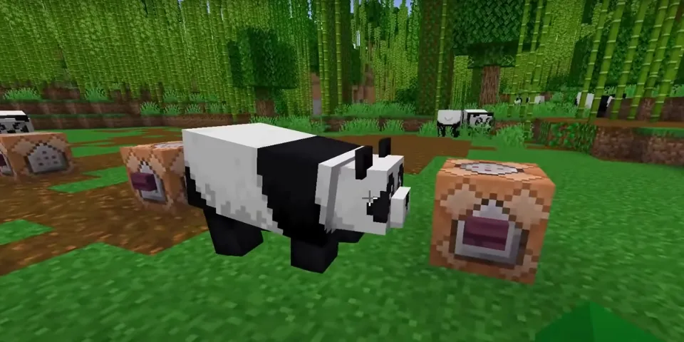 How to Tame a Panda in Minecraft