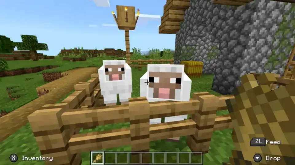 How to Breed a Sheep in Minecraft