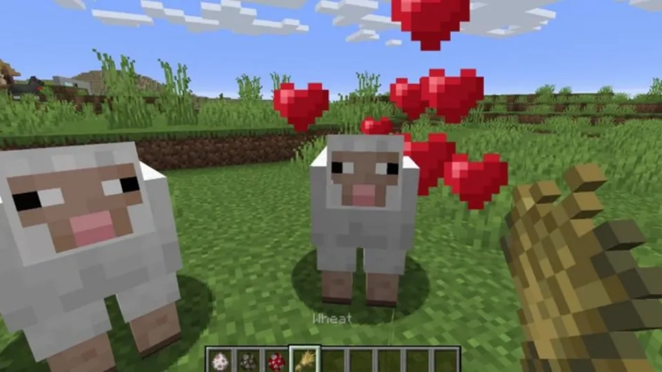 How to Breed a Sheep in Minecraft