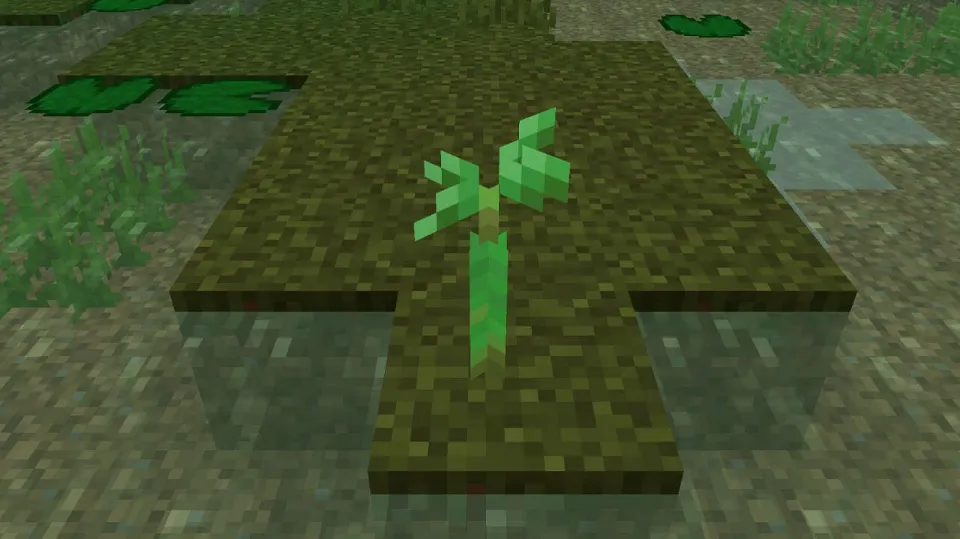 How to Grow Mangrove Trees in Minecraft