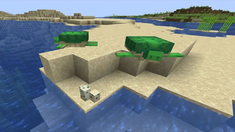 How to Hatch Turtle Eggs in Minecraft