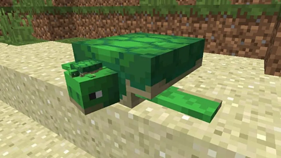 How to Hatch Turtle Eggs in Minecraft