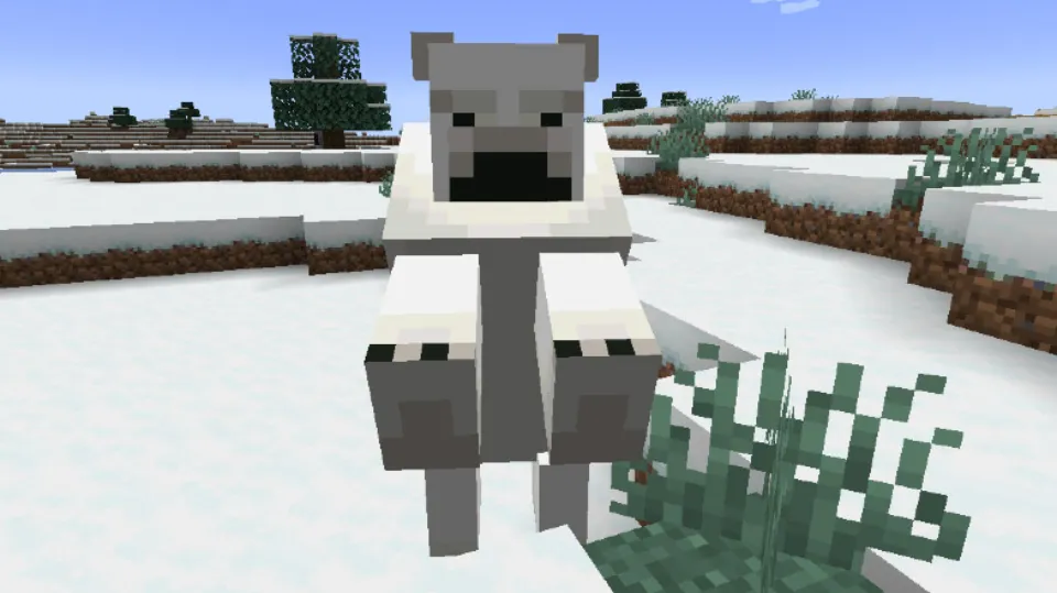 How to Tame Polar Bears in Minecraft